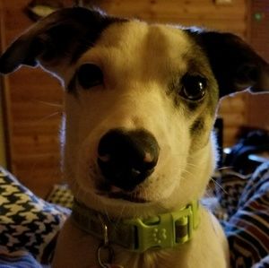 Meet your Posher, Annette